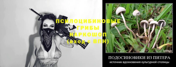 экстази Козельск