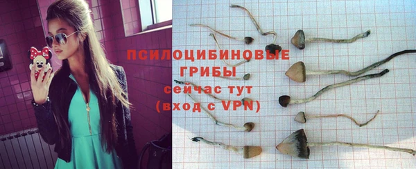 гидропоника Всеволожск