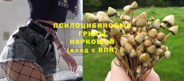 прущая мука Козловка