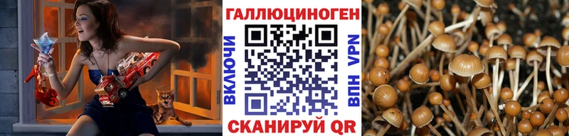 Купить закладки  Костерёво  Галлюциногенные грибы мицелий 