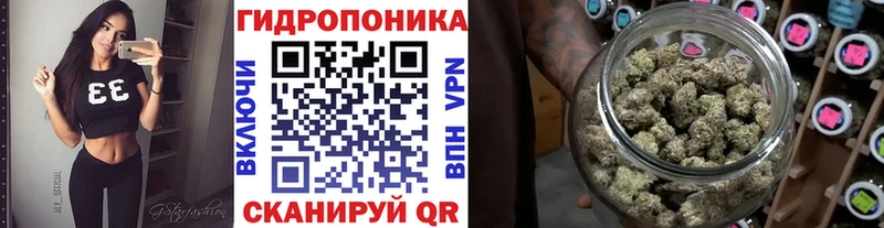 Купить где  Костерёво  Конопля сатива 
